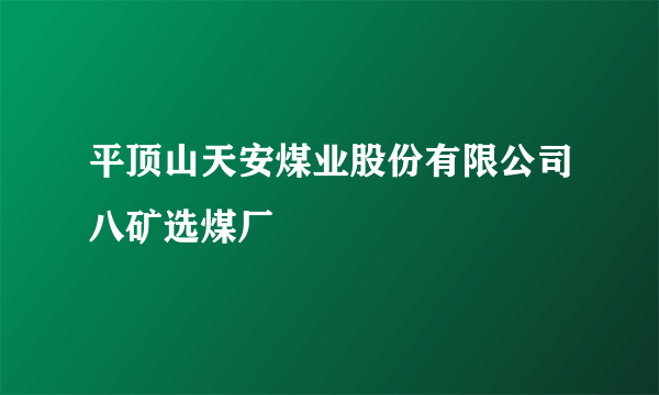 平顶山天安煤业股份有限公司八矿选煤厂