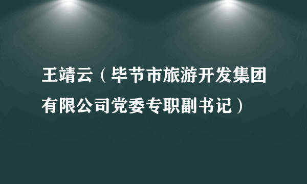 王靖云（毕节市旅游开发集团有限公司党委专职副书记）