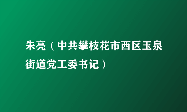 朱亮（中共攀枝花市西区玉泉街道党工委书记）