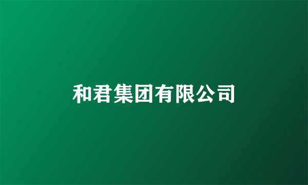 和君集团有限公司