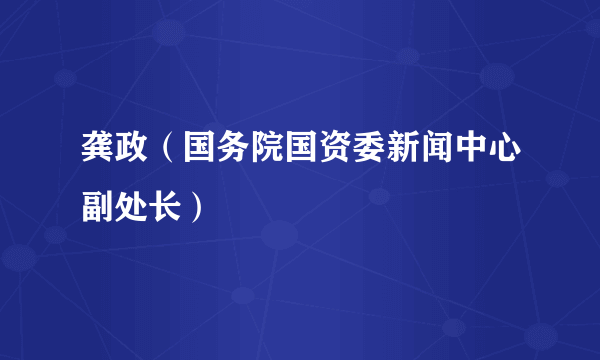 龚政（国务院国资委新闻中心副处长）