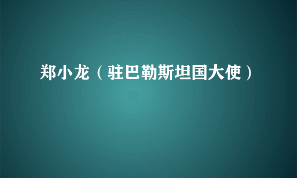 郑小龙（驻巴勒斯坦国大使）