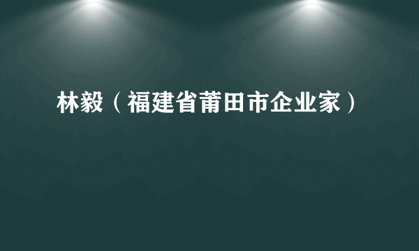 林毅（福建省莆田市企业家）