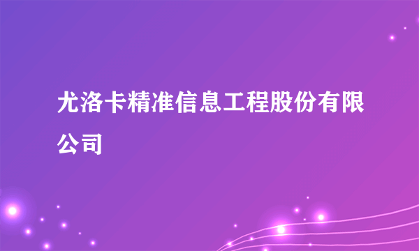 尤洛卡精准信息工程股份有限公司