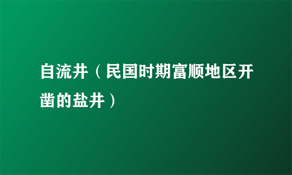 自流井（民国时期富顺地区开凿的盐井）