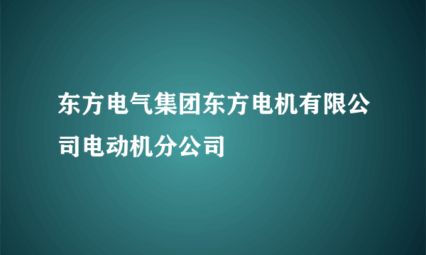 东方电气集团东方电机有限公司电动机分公司