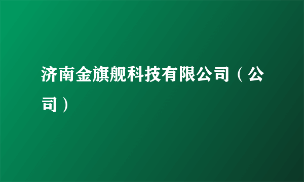 济南金旗舰科技有限公司（公司）