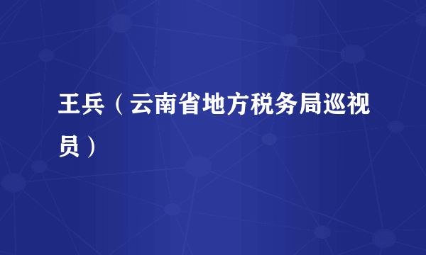 王兵（云南省地方税务局巡视员）