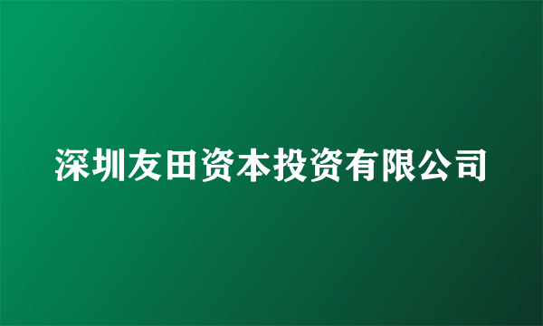 深圳友田资本投资有限公司