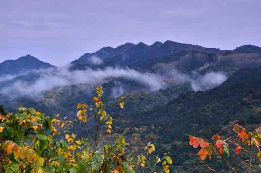 云雾山（宁夏山脉）