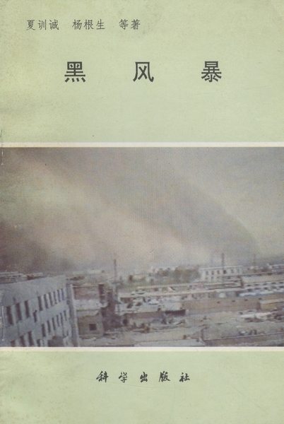 黑风暴（1995年科学出版社出版的图书）