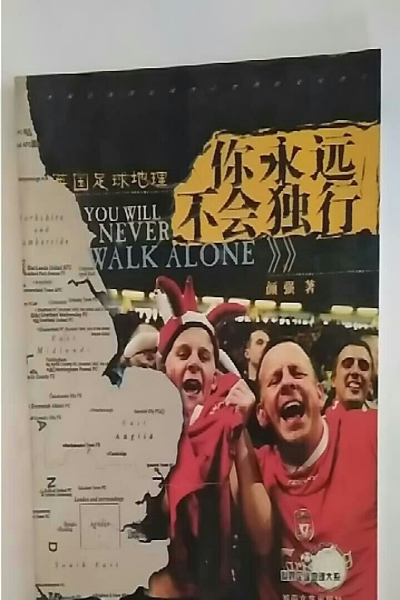 你永远不会独行（2004年湖南文艺出版社出版的图书）