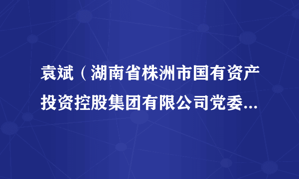 袁斌（湖南省株洲市国有资产投资控股集团有限公司党委委员、副总经理）