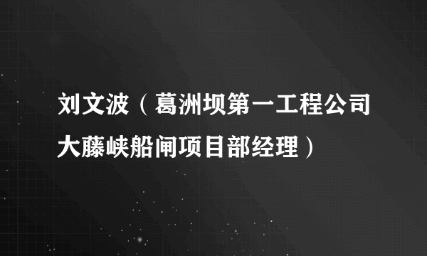 刘文波（葛洲坝第一工程公司大藤峡船闸项目部经理）