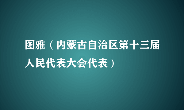 图雅（内蒙古自治区第十三届人民代表大会代表）