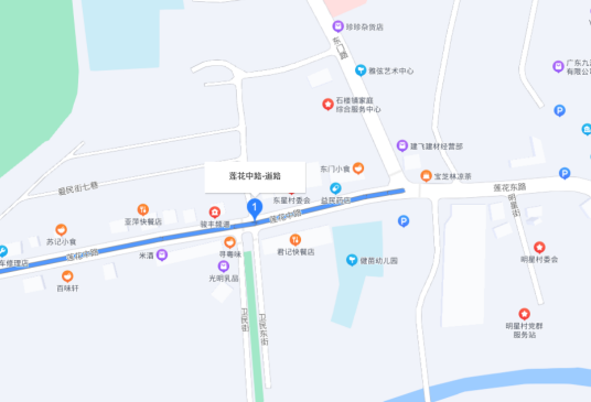 莲花路（广东省广州市番禺区莲花路）