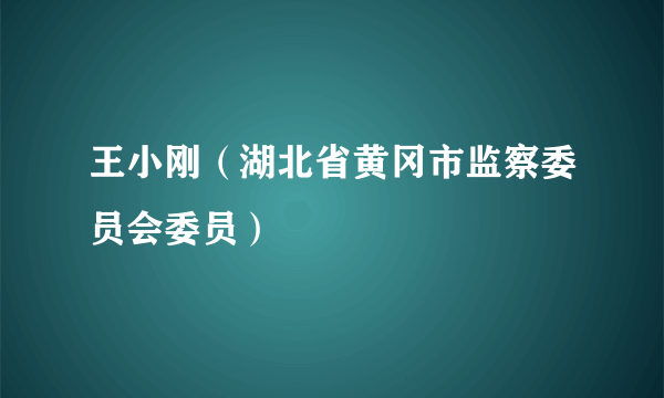 王小刚（湖北省黄冈市监察委员会委员）