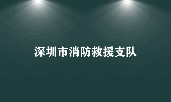 深圳市消防救援支队