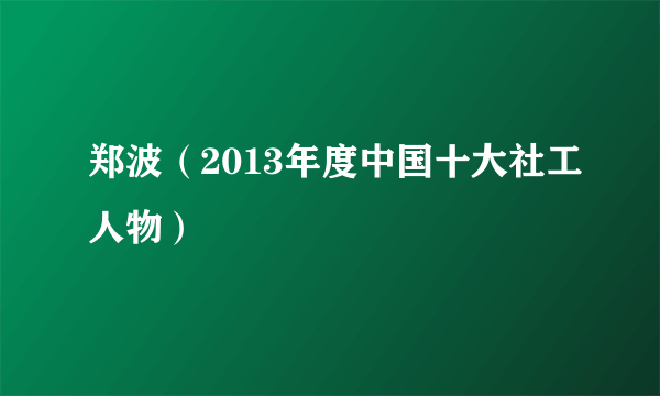 郑波（2013年度中国十大社工人物）