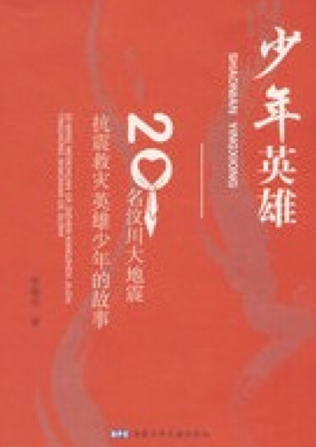 少年英雄（2008年安徽少年儿童出版社出版的图书）