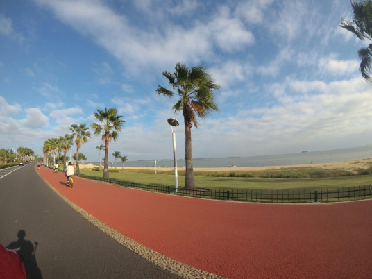 厦门鼓浪环岛路