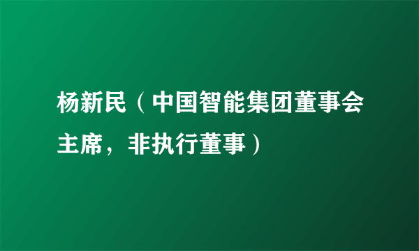 杨新民（中国智能集团董事会主席，非执行董事）