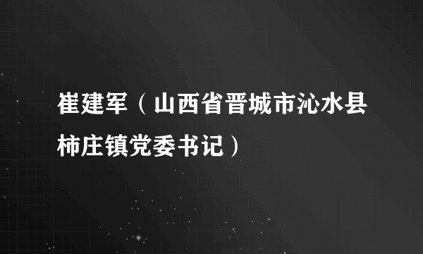 崔建军（山西省晋城市沁水县柿庄镇党委书记）