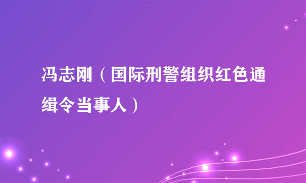 冯志刚（国际刑警组织红色通缉令当事人）