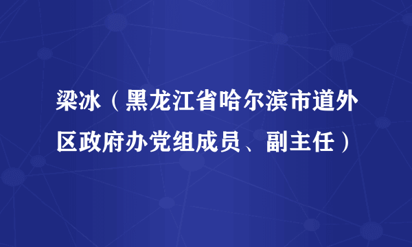 梁冰（黑龙江省哈尔滨市道外区政府办党组成员、副主任）