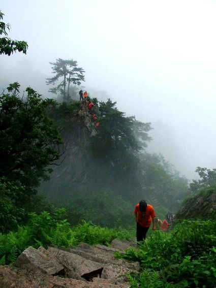 万佛山自然保护区