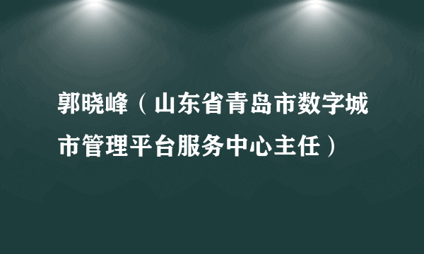 郭晓峰（山东省青岛市数字城市管理平台服务中心主任）