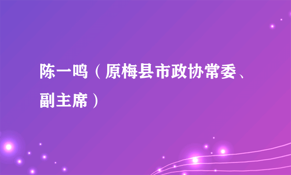 陈一鸣（原梅县市政协常委、副主席）