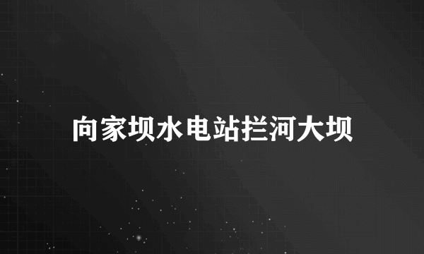 向家坝水电站拦河大坝