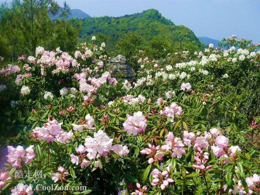 磨盘山国家森林公园