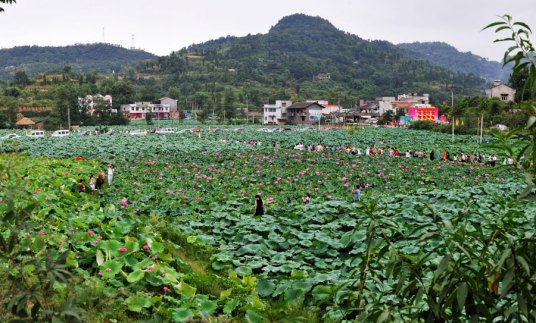 生态游