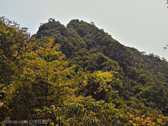 紫荆山风景区