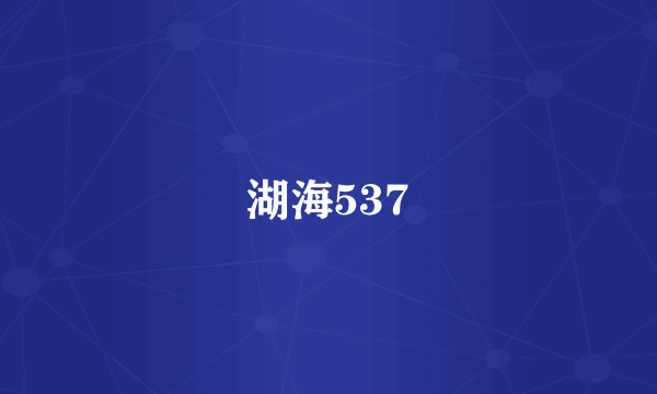 湖海537