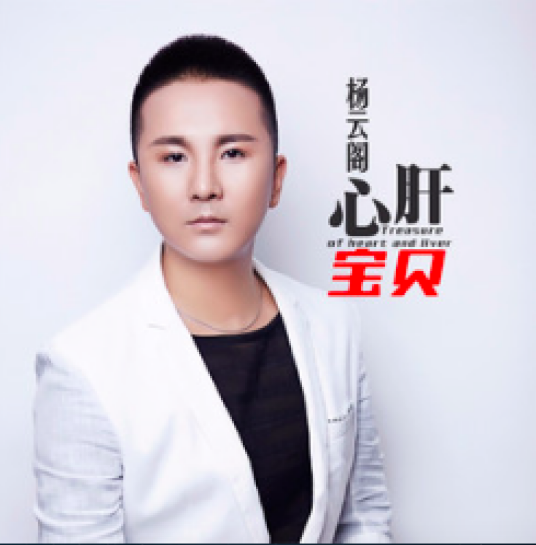 心肝宝贝（杨云阁演唱歌曲）