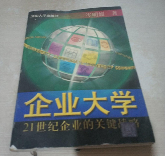 企业大学（2005年清华大学出版社出版的图书）