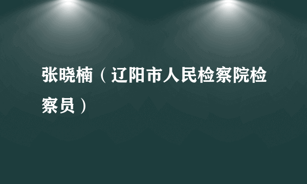 张晓楠（辽阳市人民检察院检察员）