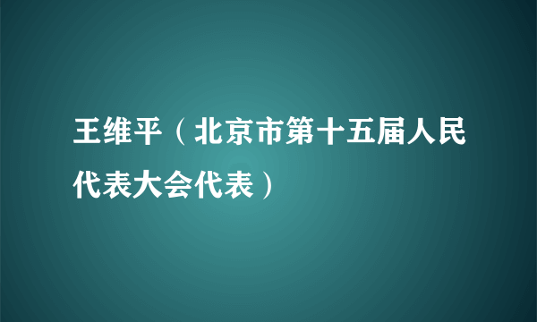 王维平（北京市第十五届人民代表大会代表）