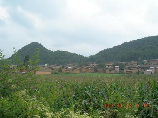 坝上村（云南红河州泸西县午街铺镇下辖村）