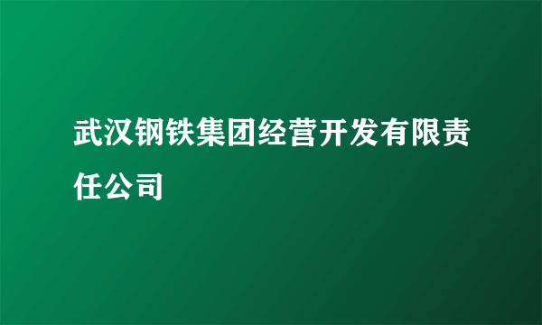 武汉钢铁集团经营开发有限责任公司