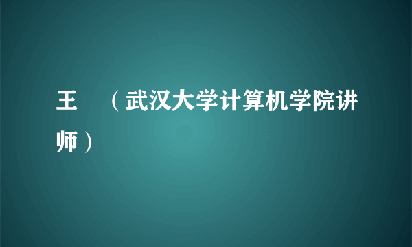 王翀（武汉大学计算机学院讲师）