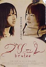 燃烧（日本2008年林田贤太执导电影）