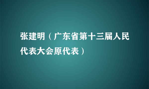 张建明（广东省第十三届人民代表大会原代表）