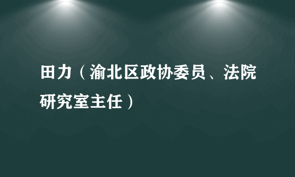 田力（渝北区政协委员、法院研究室主任）