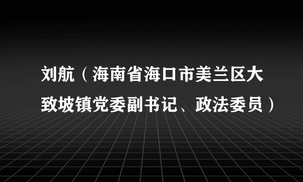 刘航（海南省海口市美兰区大致坡镇党委副书记、政法委员）