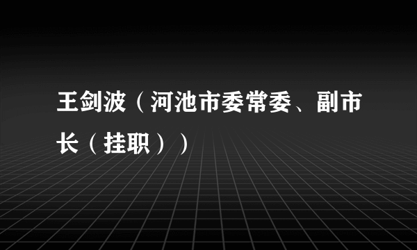 王剑波（河池市委常委、副市长（挂职））