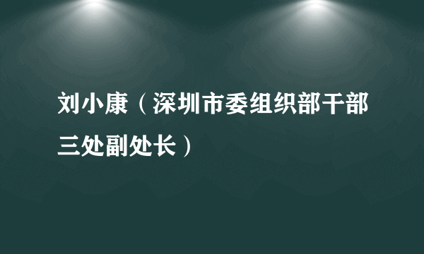 刘小康（深圳市委组织部干部三处副处长）